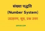 Number System in Hindi