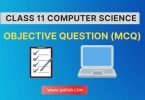 Class 11 Computer Science MCQ (Objective Question)